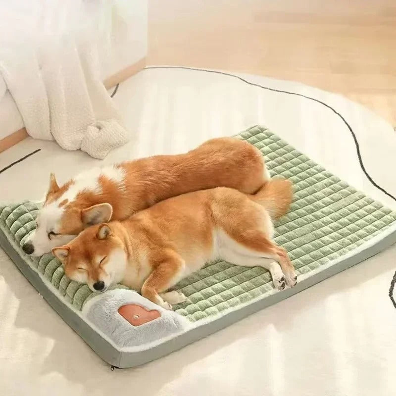 Orthopedic Dog Bed