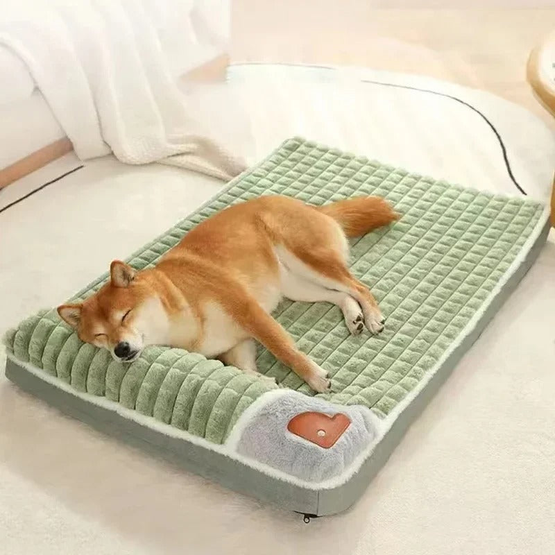 Orthopedic Dog Bed